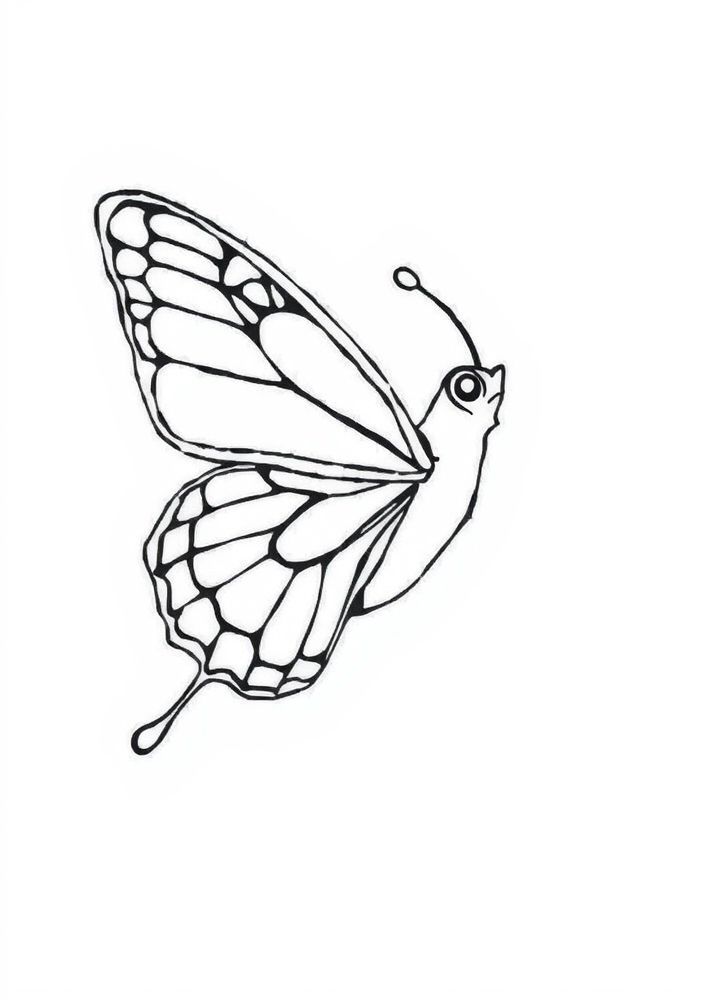 Borboleta em Voo para Colorir