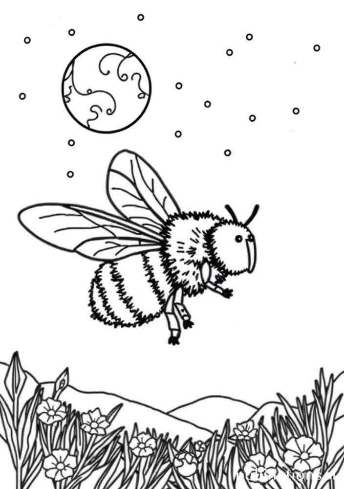 Desenho de Abelha e a lua para colorir