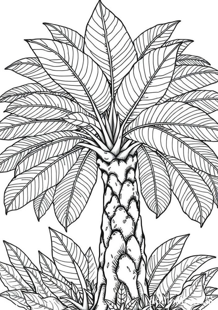 Desenho de Árvore Tropical para colorir