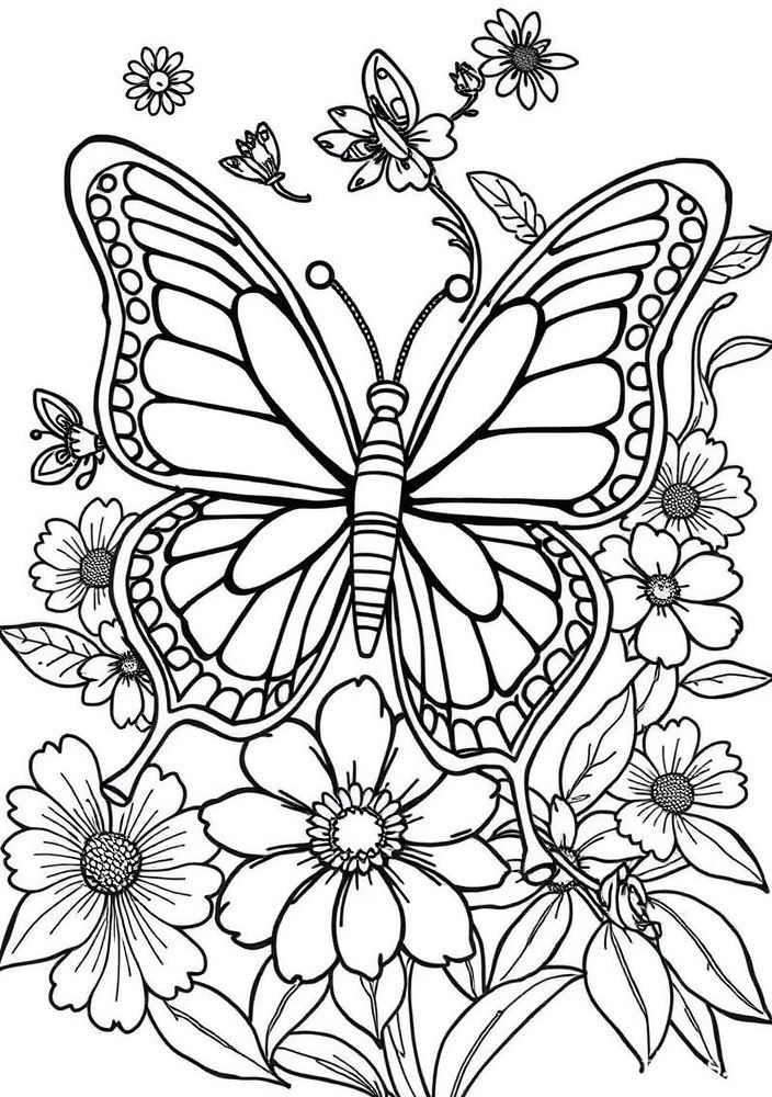 Desenho de Borboleta Colorida para colorir