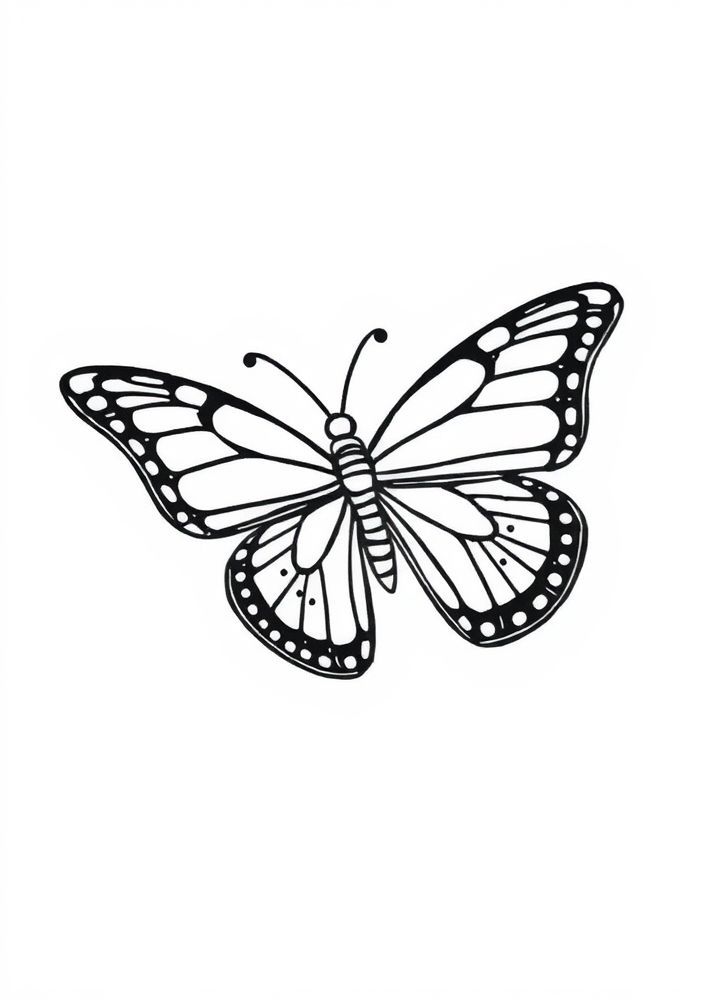 Desenho de Borboleta Listrada para colorir