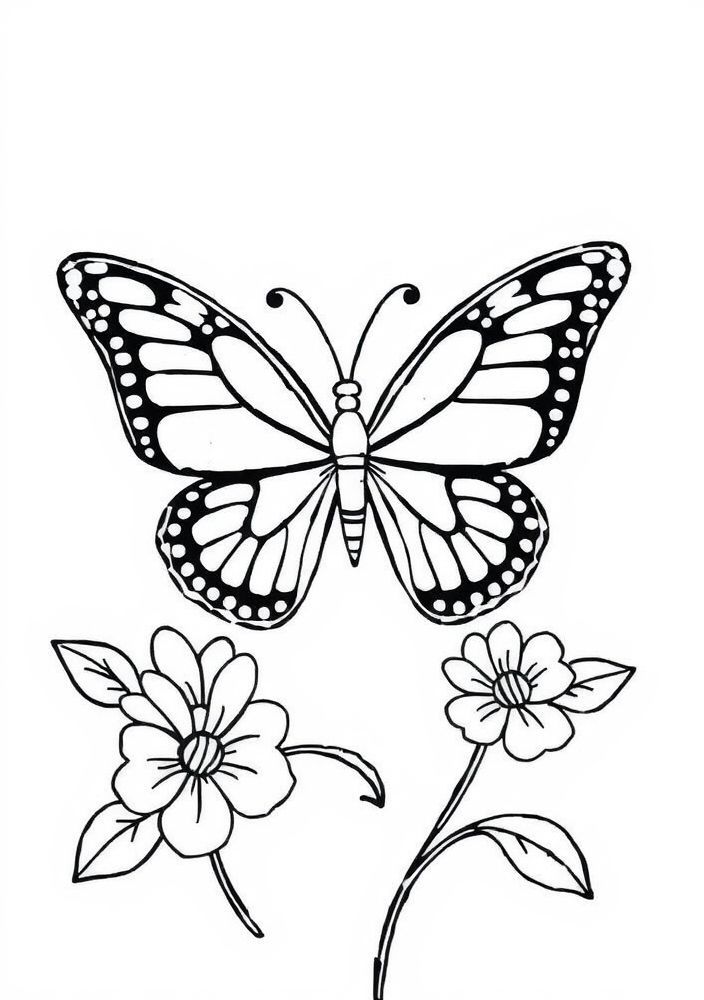 Desenho de Borboleta Minimalista para Colorir