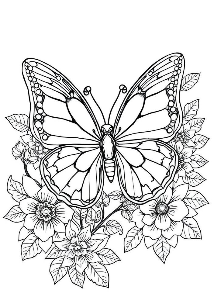 Desenho de Borboleta Tropical para colorir
