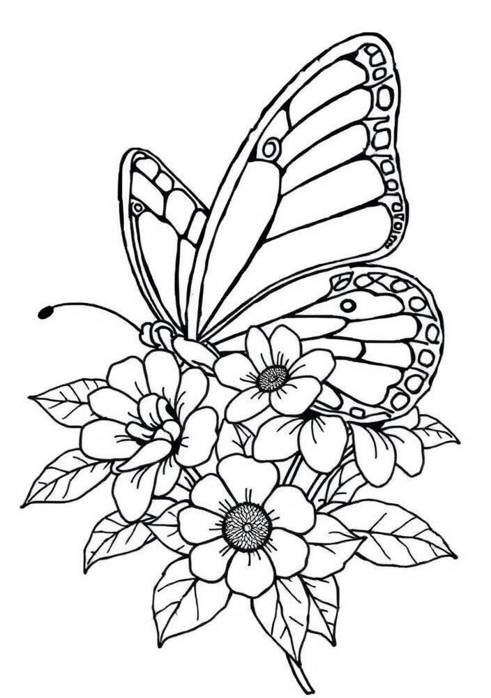 Desenho de Borboleta com flores para colorir