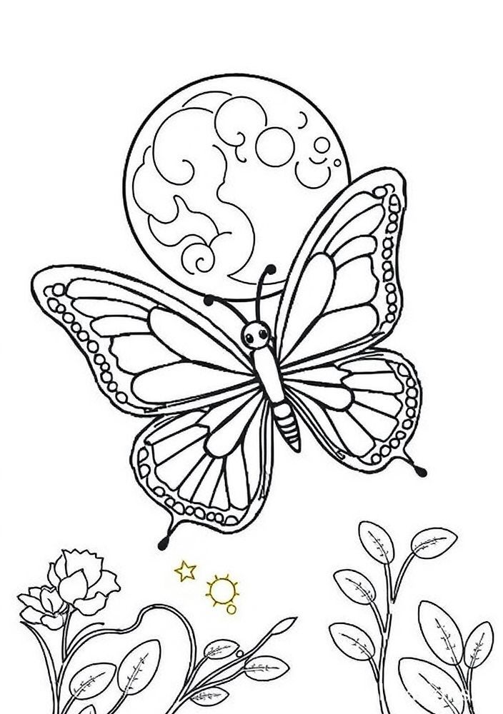 Desenho de Borboleta e Lua para Colorir