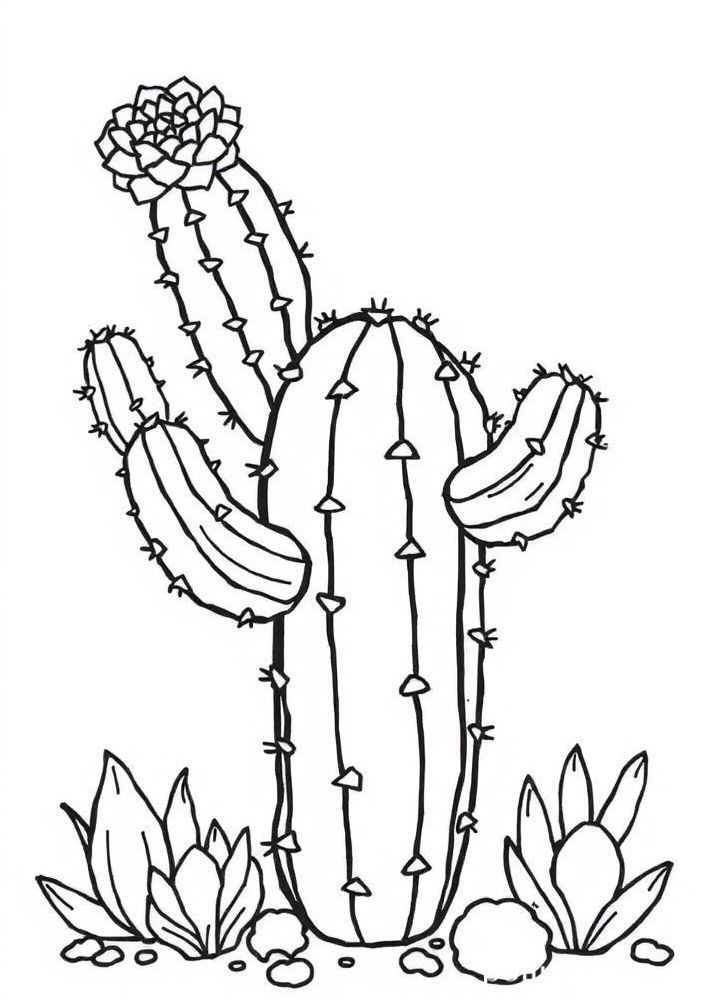 Desenho de Cacto Kawaii para colorir