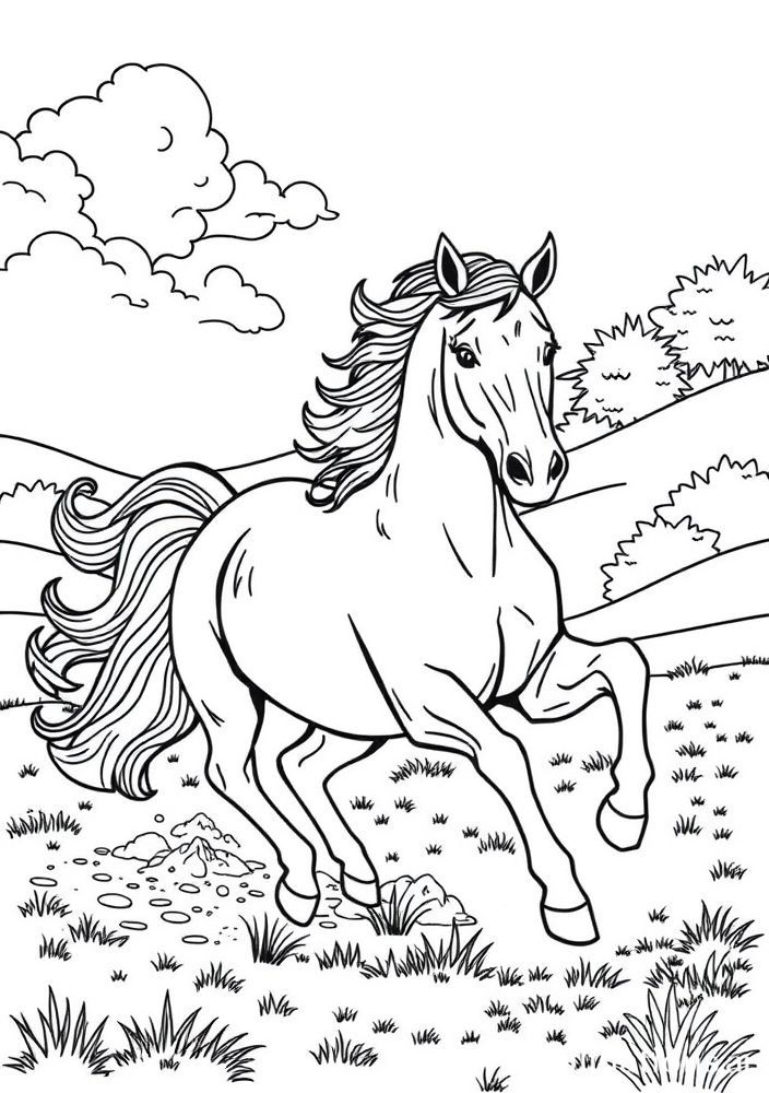 Desenho de Cavalo Cavalgando para colorir