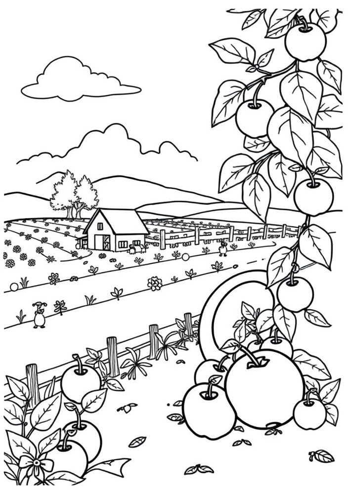 Desenho de Colheita de Maçãs na Fazenda para Colorir