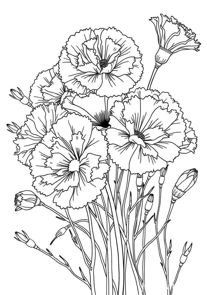 Desenho de Cravos para colorir