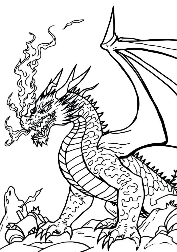 Desenho de Dragão de Fogo para Colorir