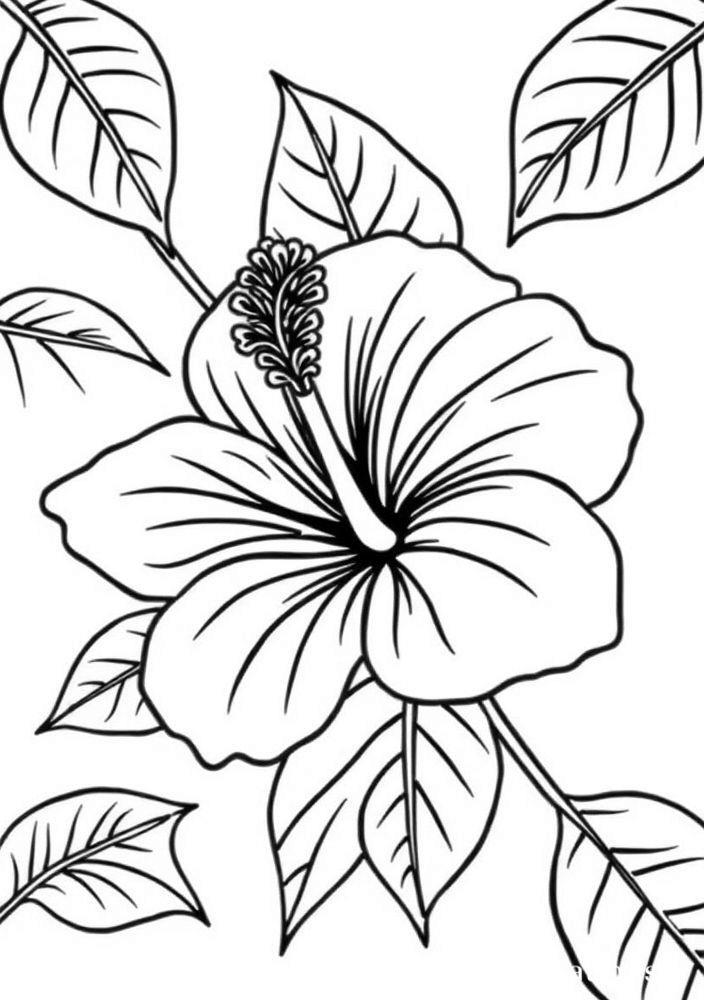 Desenho de Flor de Hibisco para Colorir