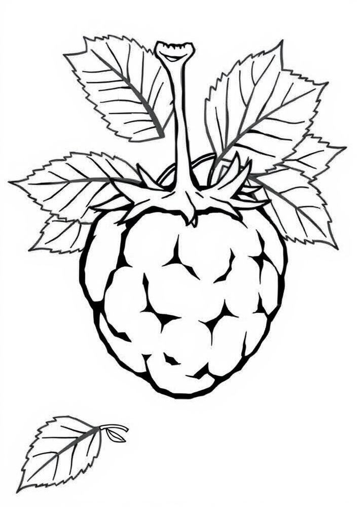 Desenho de Framboesa Charmosa para colorir