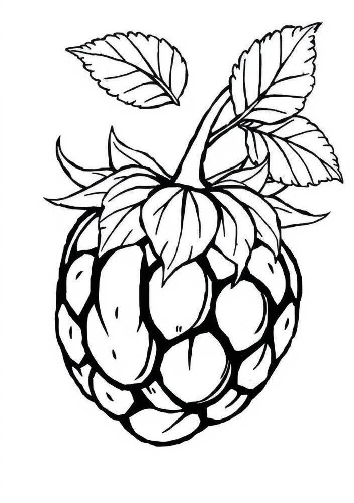 Desenho de Framboesa com detalhes para colorir