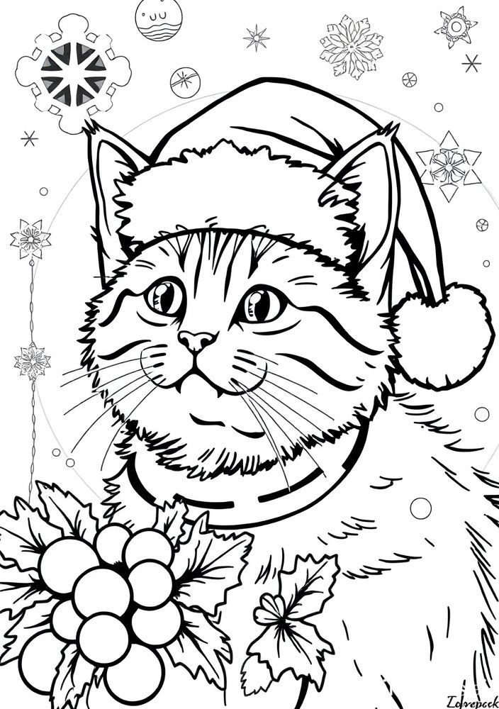Desenho de Gato de Natal com Chapéu para colorir