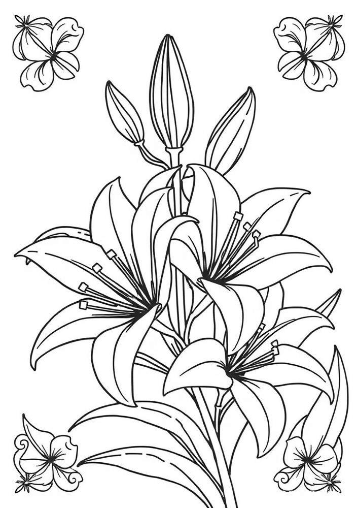 Desenho de Lírios da Paz para Colorir