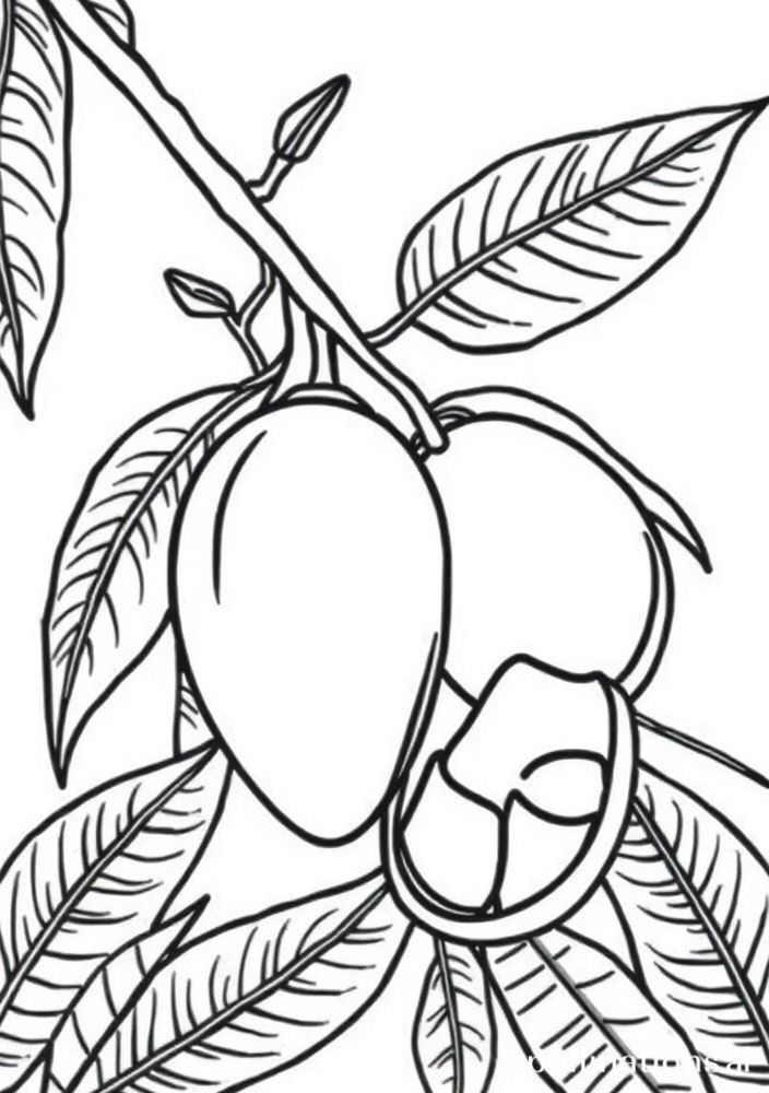Desenho de Manga Tropical para colorir