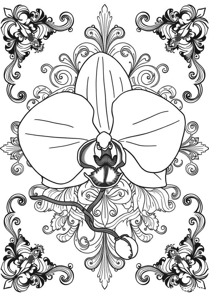 Desenho de Orquídea para Colorir