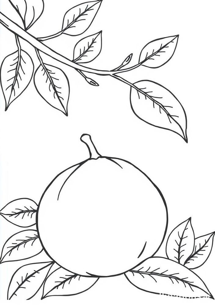 Desenho de Tangerina Alegre para Colorir
