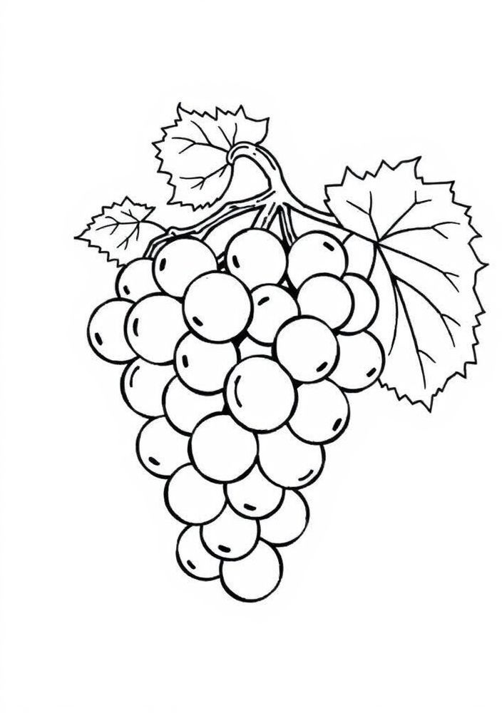 Desenho de Uvas em Cachinho para Colorir