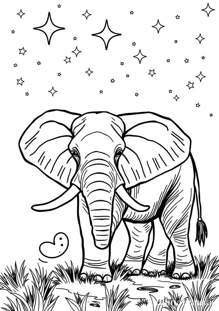 Elefante em um quadro de estrelas para colorir