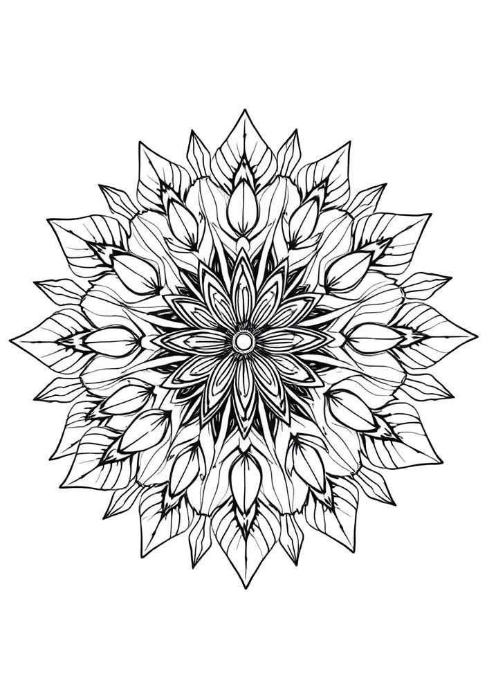Mandalas Naturais