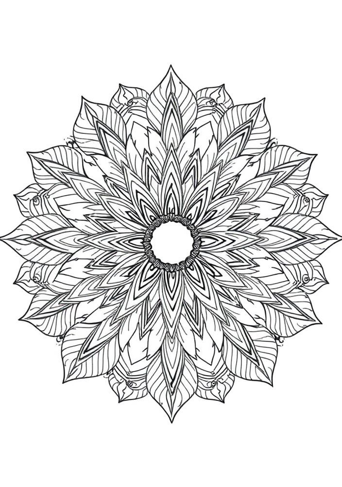 Mandalas Tropicais