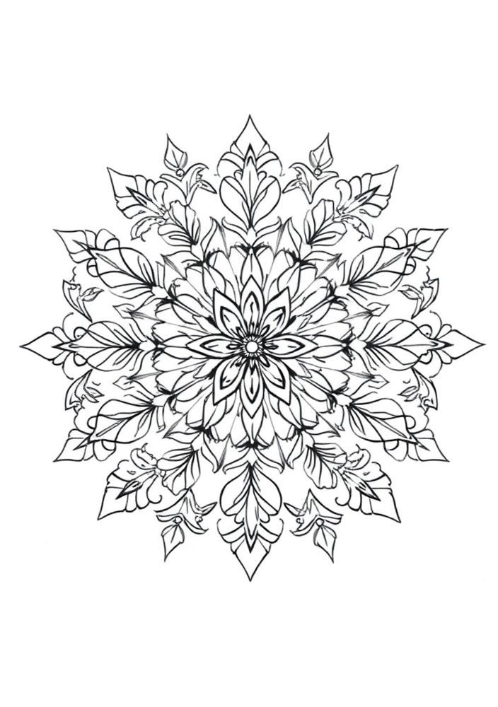 Mandalas de Elementos da Natureza para Colorir