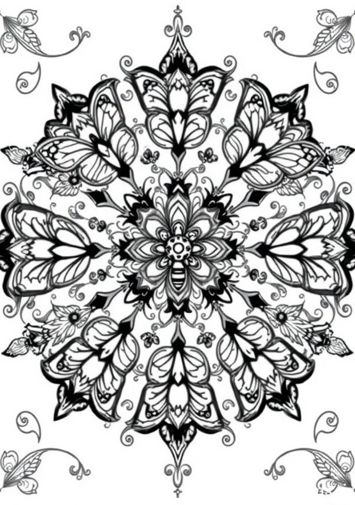 Mandalas de Insetos para Colorir