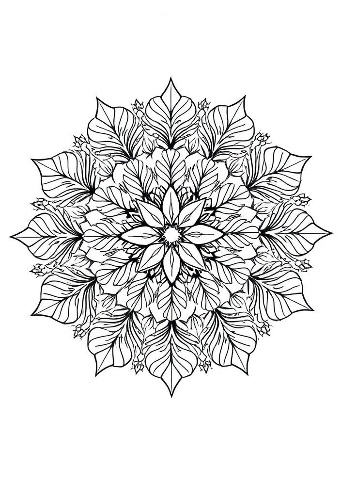 Mandalas de Natureza para Colorir